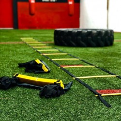 Escalera de Aguilidad